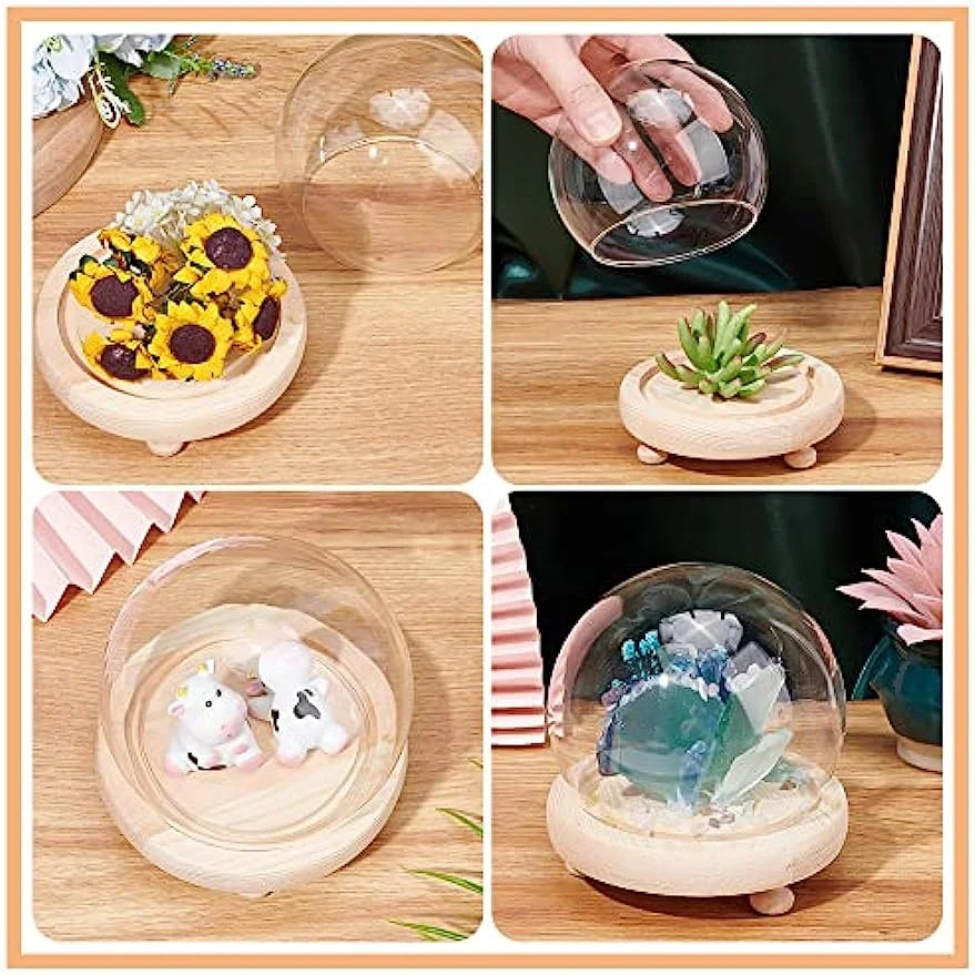 2 Sets Round Glass Display Dome with Wood Base L228