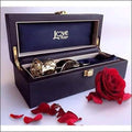 24 Karat Gold Dipped Natural Rose L91126