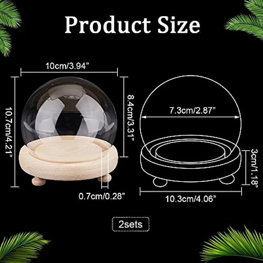 2 Sets Round Glass Display Dome with Wood Base L228