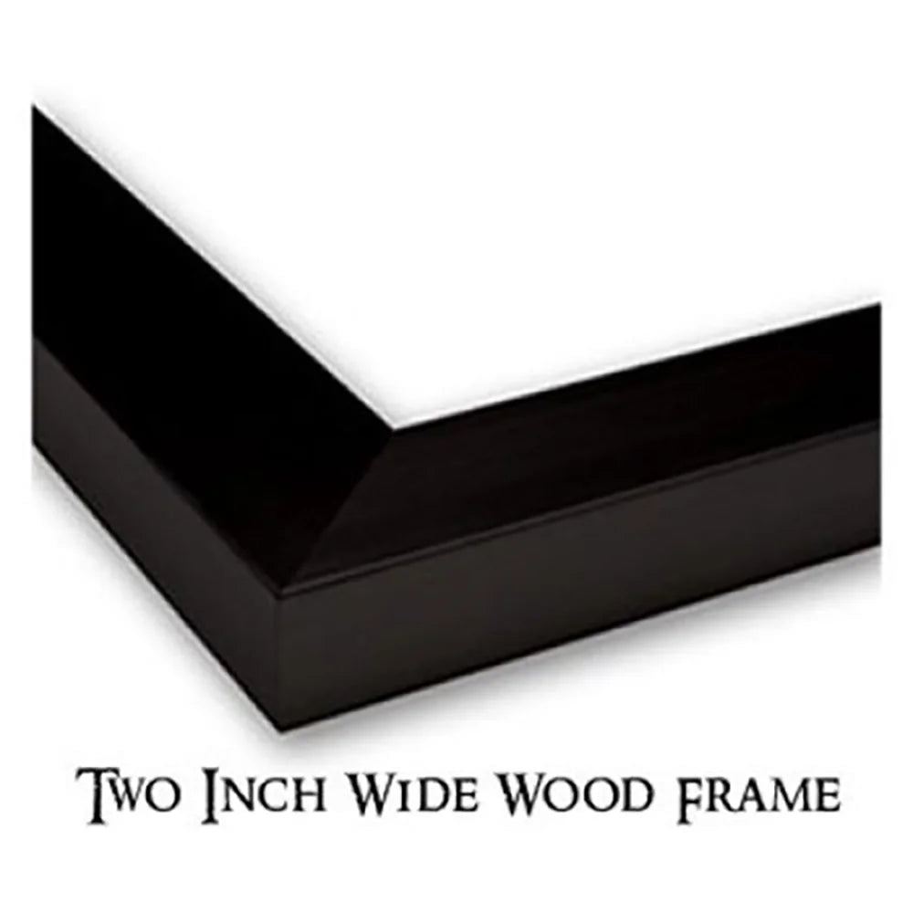Black Modern Framed Museum Art Print E309112