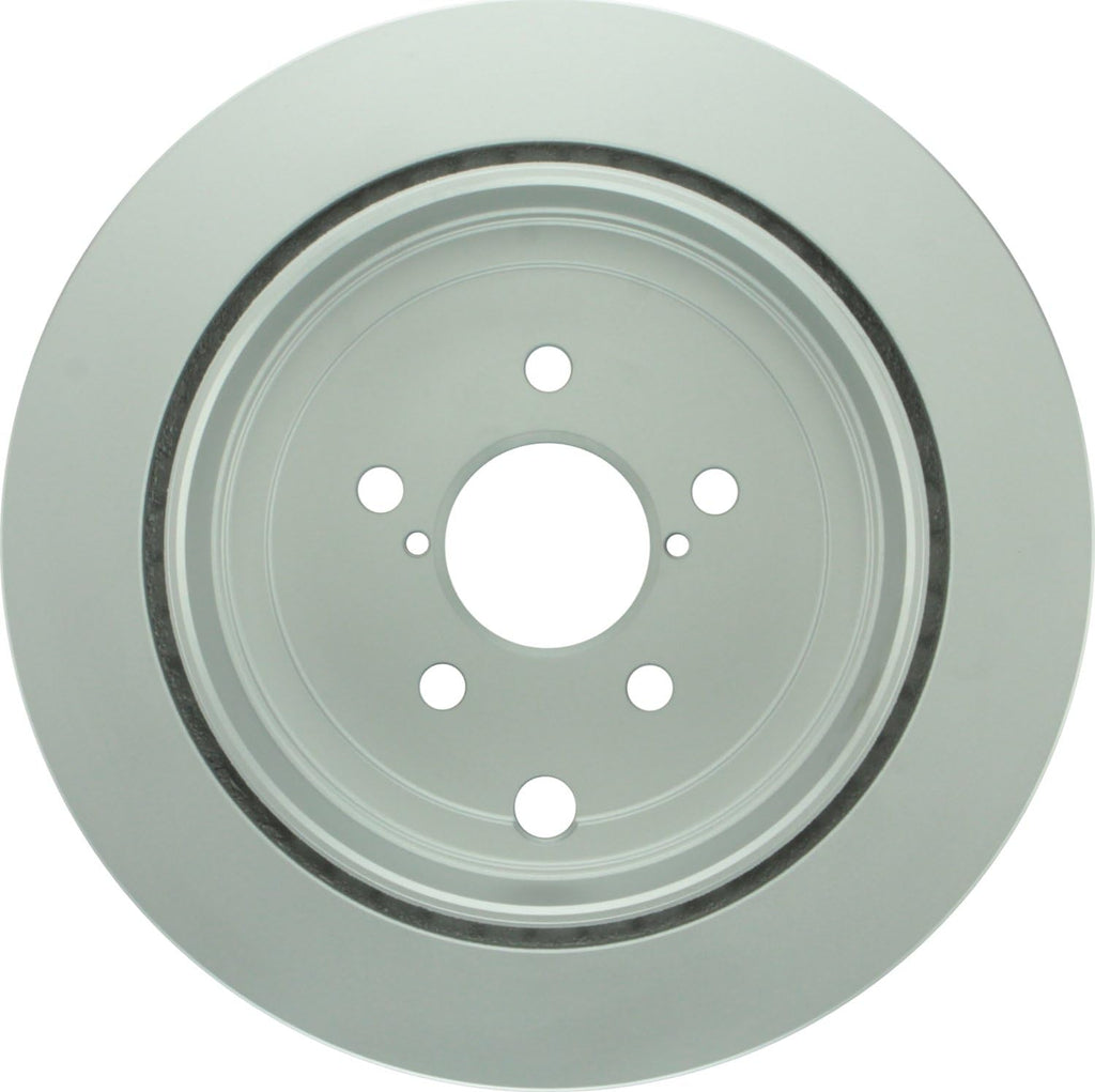 QuietCast Premium Disc Brake Rotor, Rear Pack of 2 Y79172