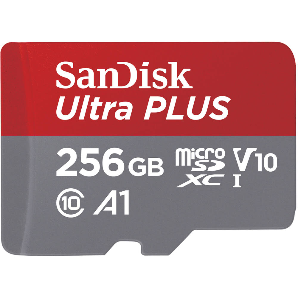 256GB microSDXC UHS-I Card R97622