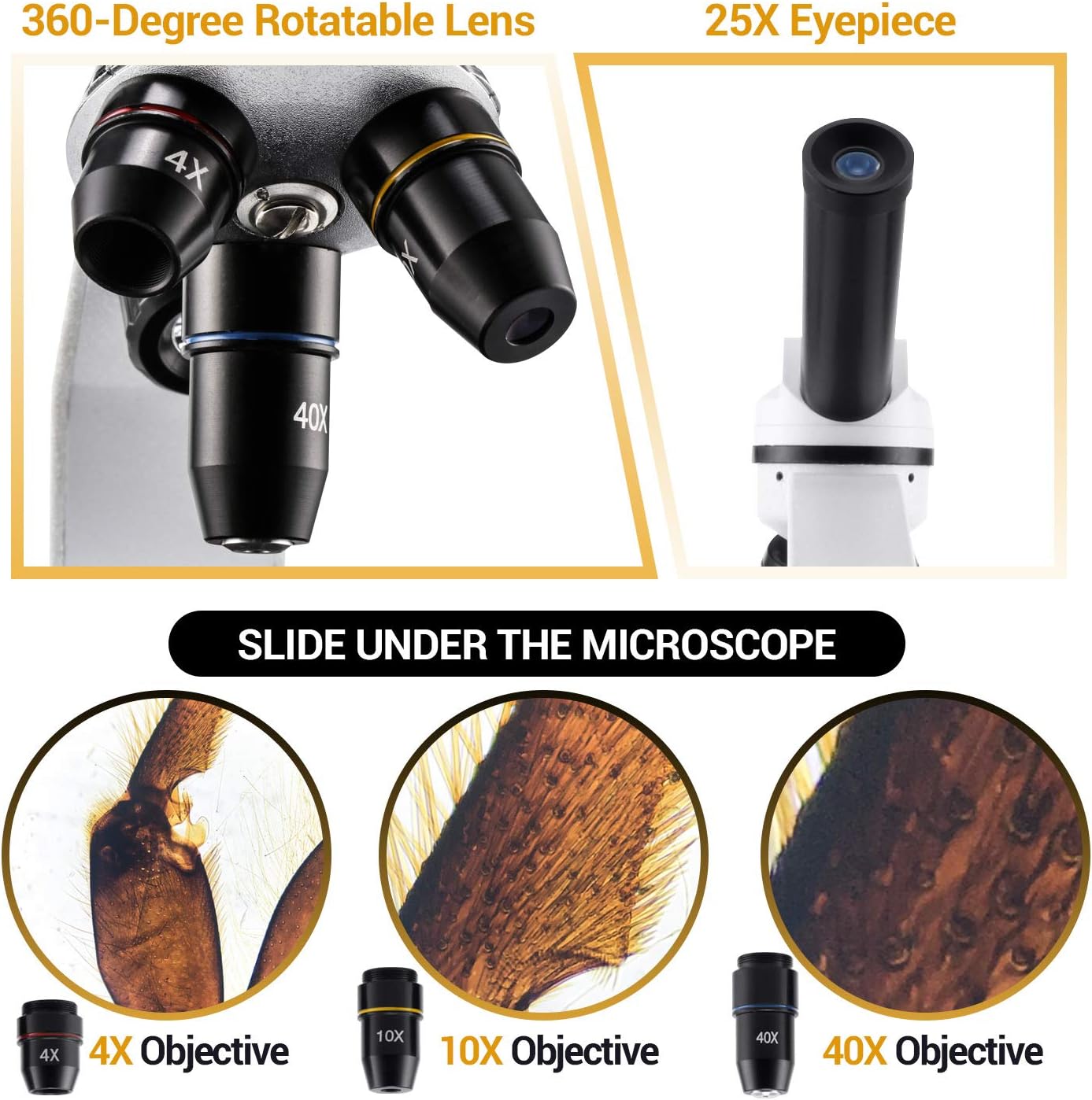 100X-1000X Magnification Compound Monocular Microscope with Dual LED Illumination G574