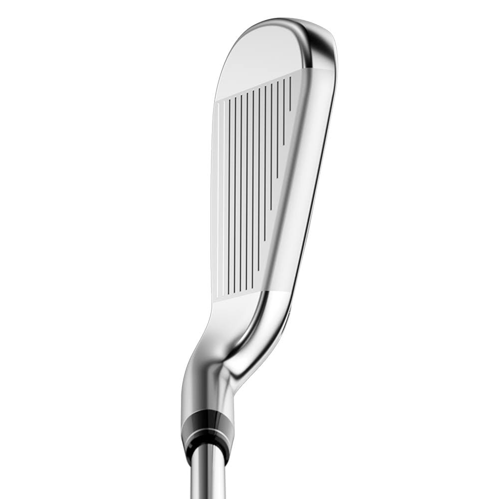 6-PW, SW Steel Regular Iron Set V15834