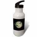 21 oz Sports Water Bottle F937878