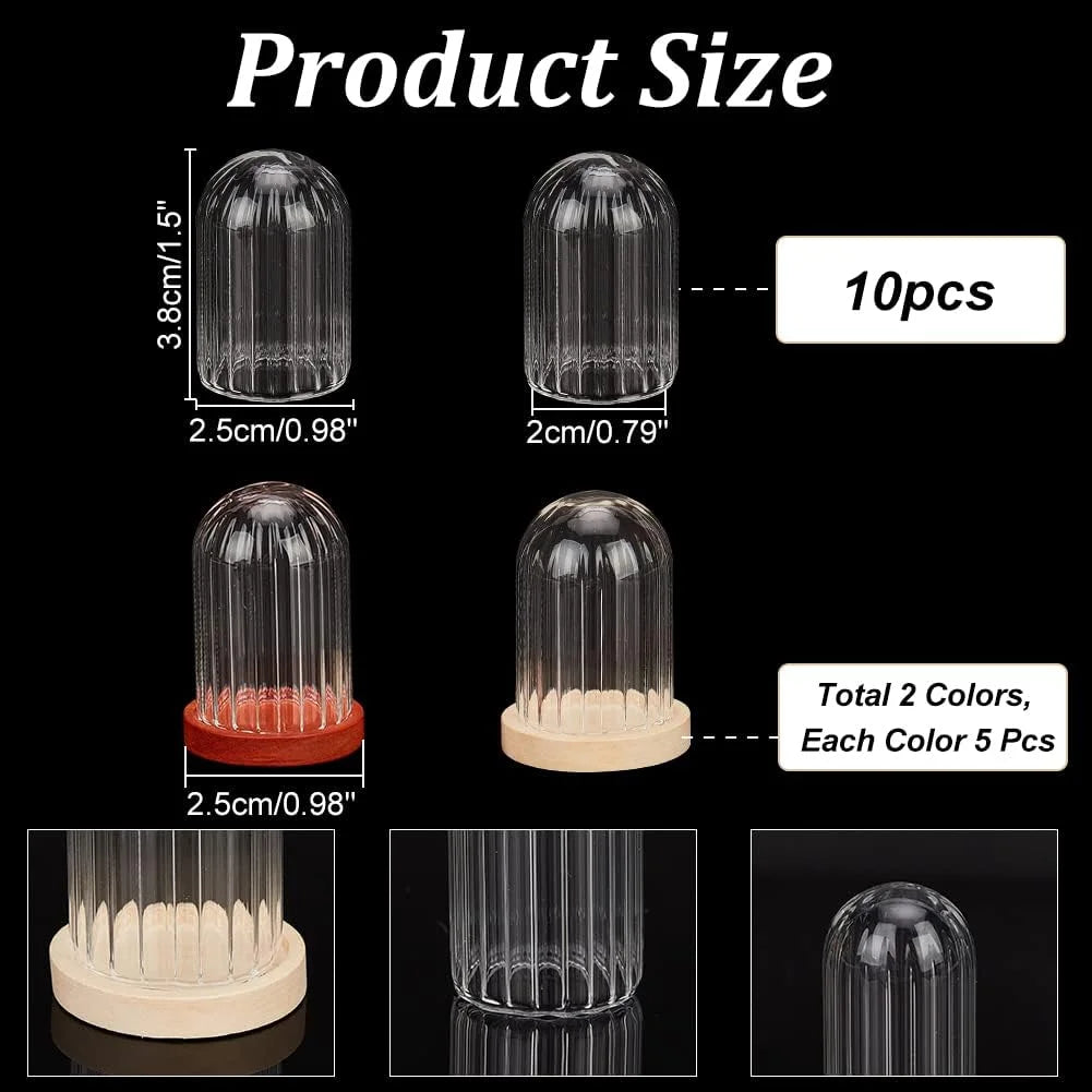 2 Sets Round Glass Display Dome with Wood Base L228