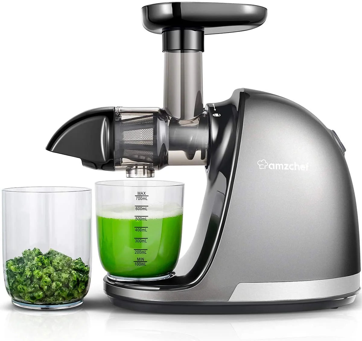 Gray Masticating Slow Juicer T5544