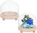 2 Sets Round Glass Display Dome with Wood Base L228