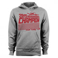 Heather Grey Large Hoodie X968092