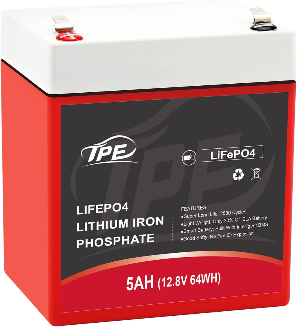 12V 100AH Deep Cycle Lithium Iron Phosphate Battery with Built-in BMS P35909
