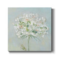 Gallery Wrapped Canvas 10X10 J7662