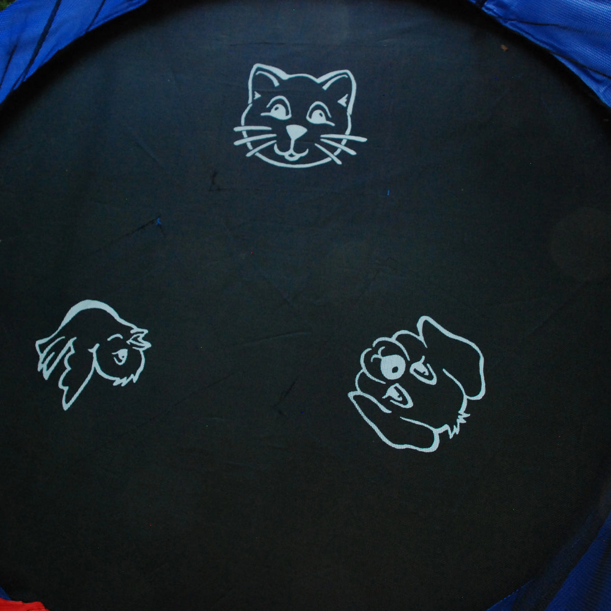 55-Inch Trampoline with Enclosure and Sound, Blue M1865