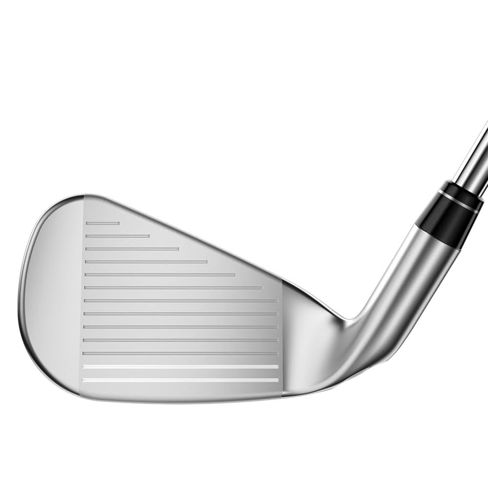 6-PW, SW Steel Regular Iron Set V15834
