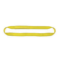 4 Ply 8x22 x 11& Endless Polyester Web Sling B8642