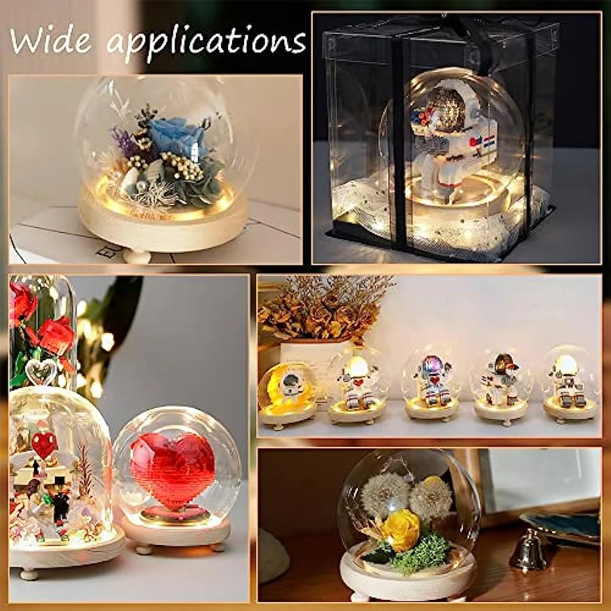 2 Sets Round Glass Display Dome with Wood Base L228