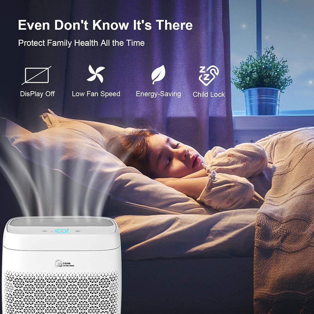 True HEPA 5-in-1 Air Purifier B840