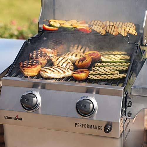 Stainless Steel 2-Burner Liquid Propane Gas Grill P578628