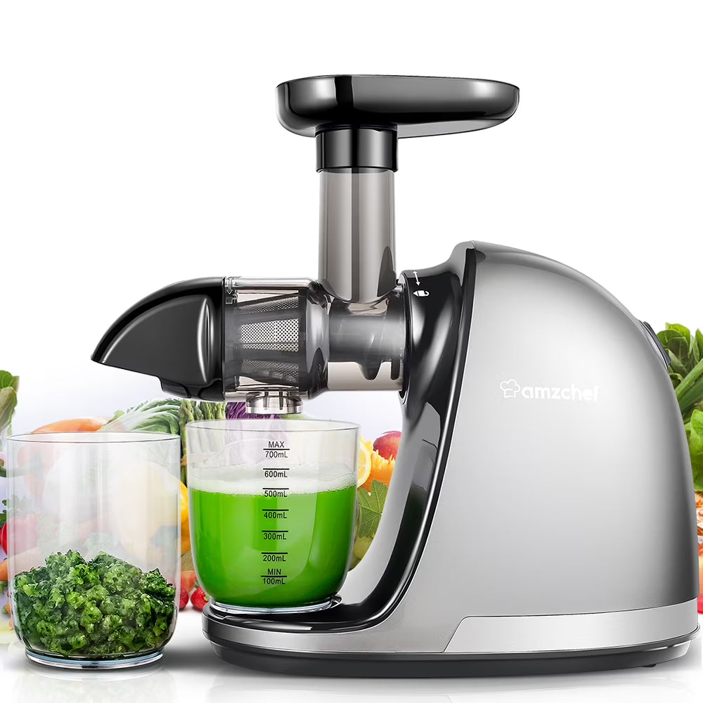 Gray Masticating Slow Juicer T5544
