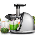 Gray Masticating Slow Juicer T5544