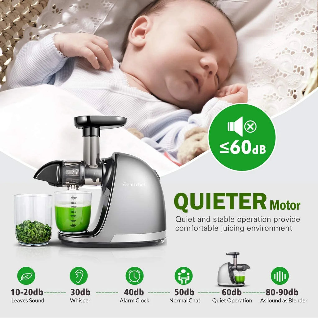 Gray Masticating Slow Juicer T5544