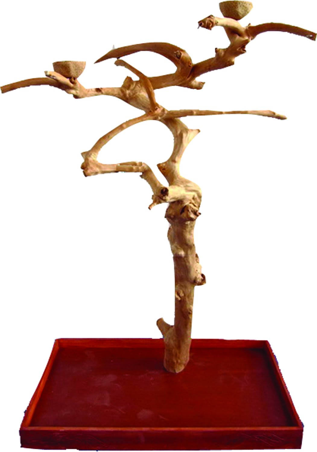 Medium Java Wood Tree Box P230399