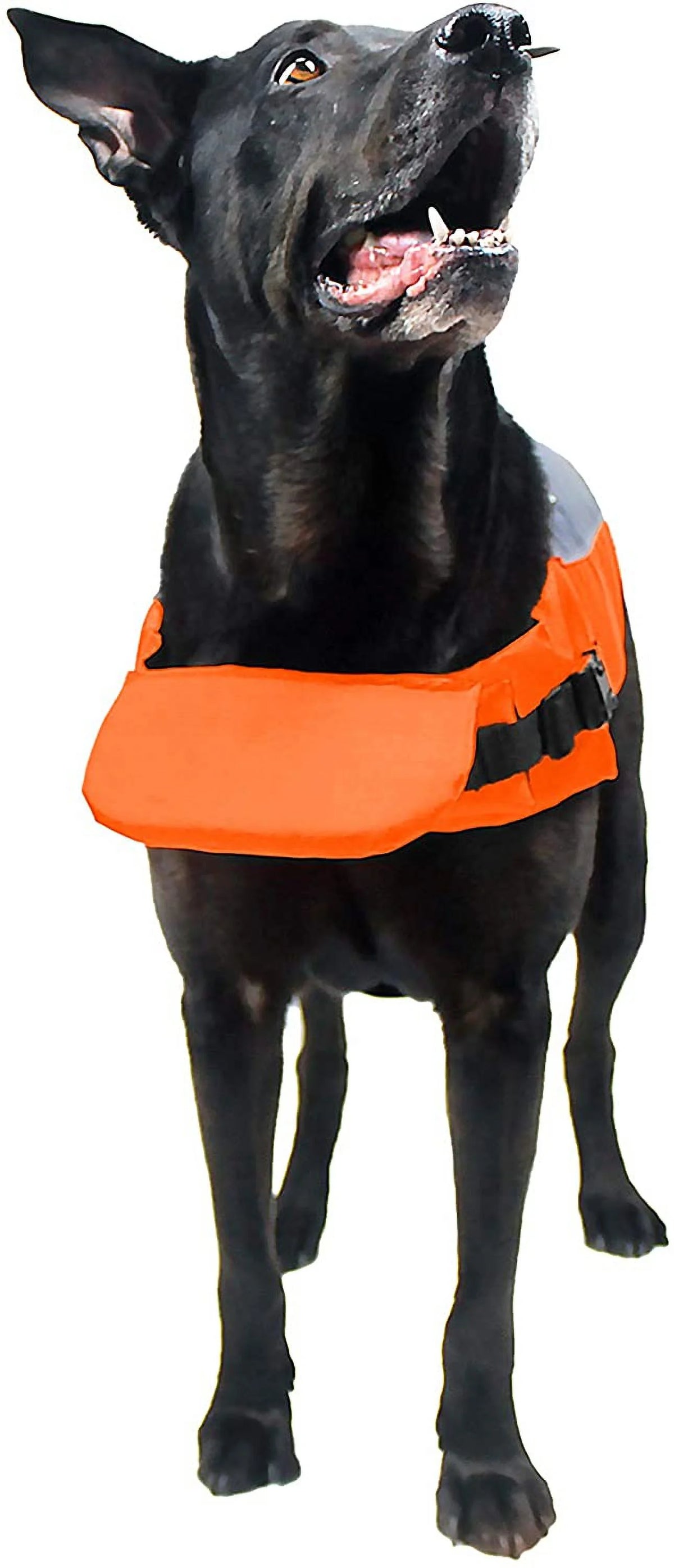 Neon Pink Dog Life Vest Flotation Device U5641