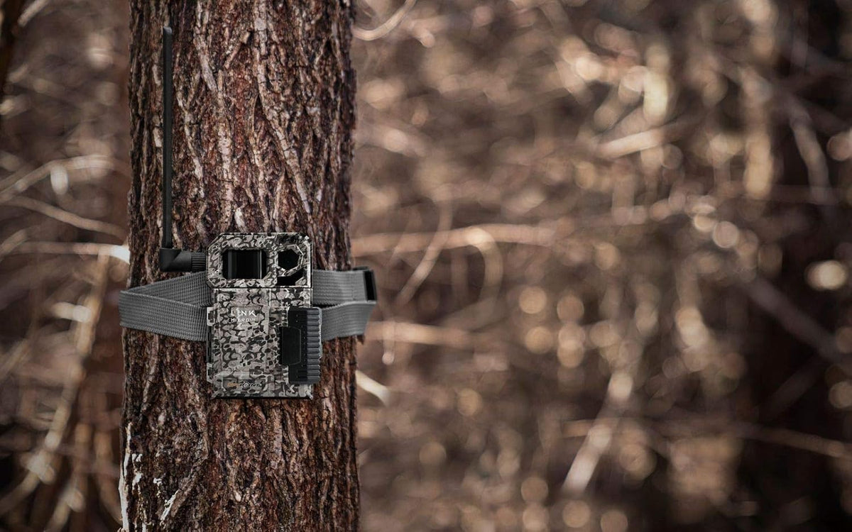 Cellular Trail Camera with Card Reader F608264