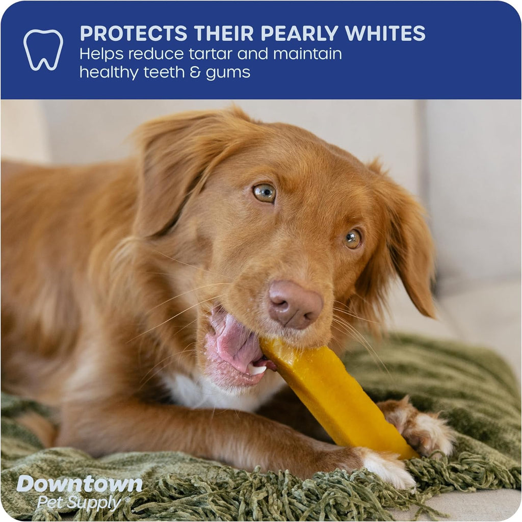 Yak Cheese Himalayan Dog Chews U673635