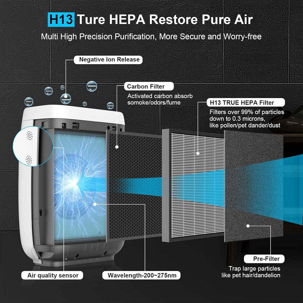 True HEPA 5-in-1 Air Purifier B840