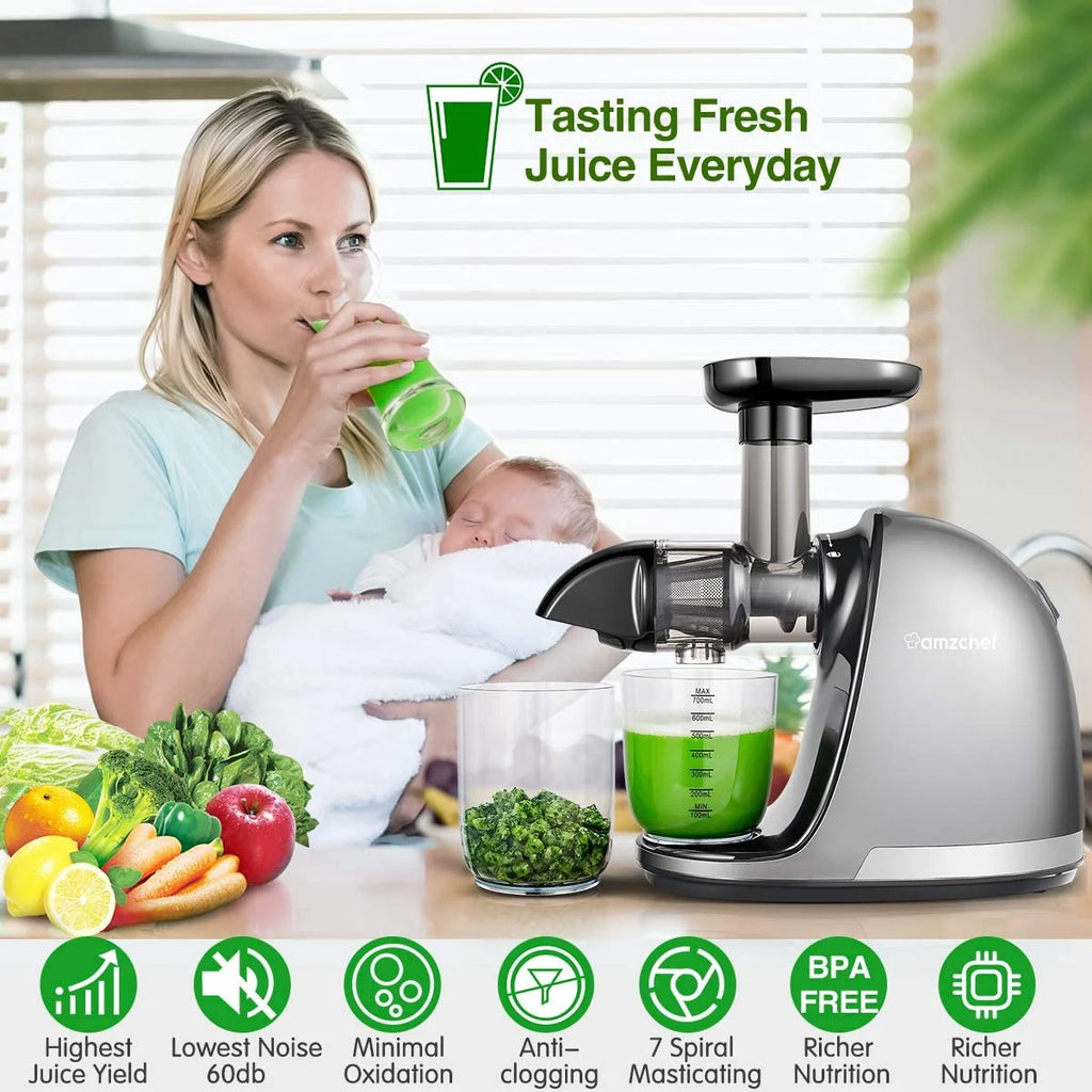 Gray Masticating Slow Juicer T5544