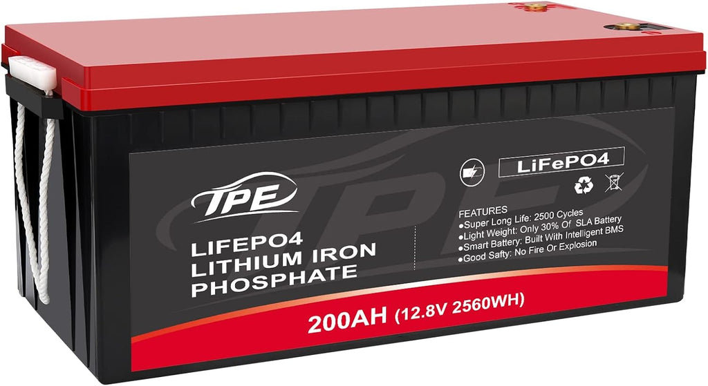 12V 100AH Deep Cycle Lithium Iron Phosphate Battery with Built-in BMS P35909