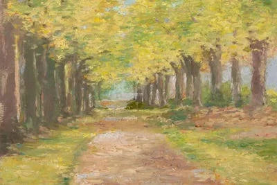 Fall Path III Print Canvas Art S5670