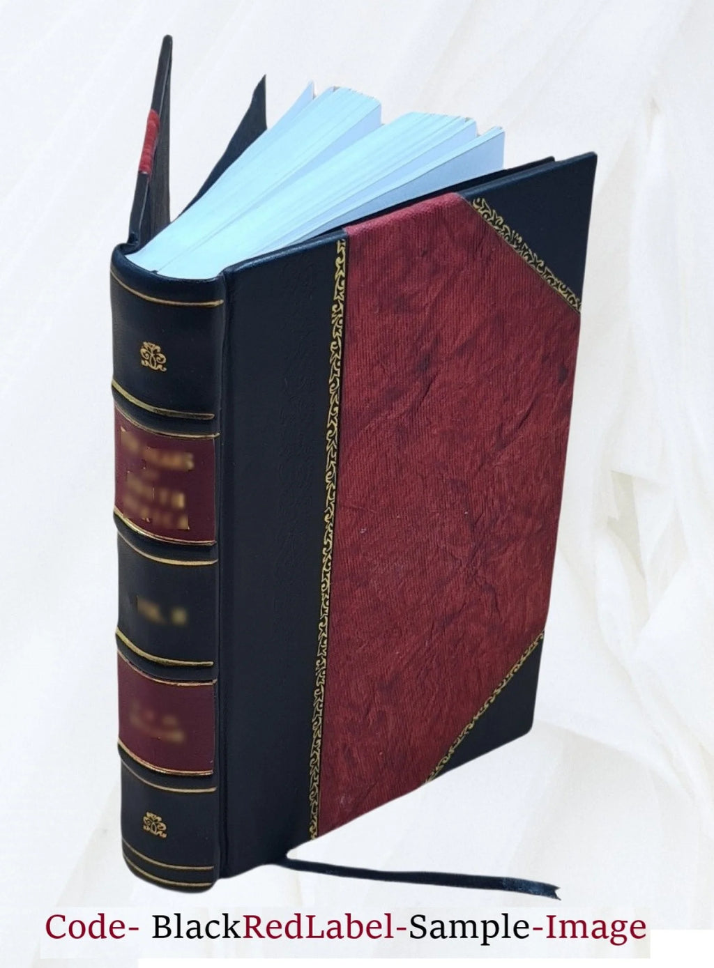 Memoirs of Mrs. Mary Ann Bise, Leather Bound V201